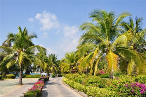 文昌蓝湖海韵 PK 凯德山泉海养老度假分析~