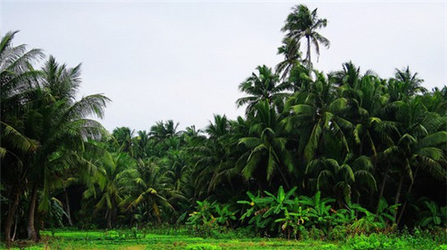 文昌买房 文昌买房