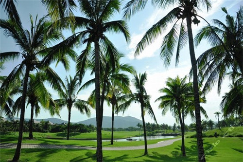 海南亿嘉国际 海南亿嘉国际