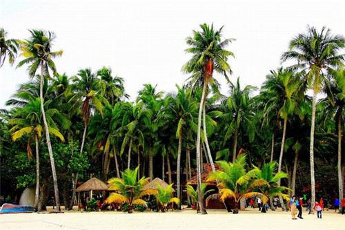 海南文昌买房子哪里醉便宜? 海南文昌买房子哪里醉便宜?