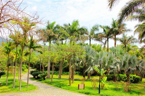 《海南小户型优缺点大揭秘!绿岛优势,不容错过的居住选择》