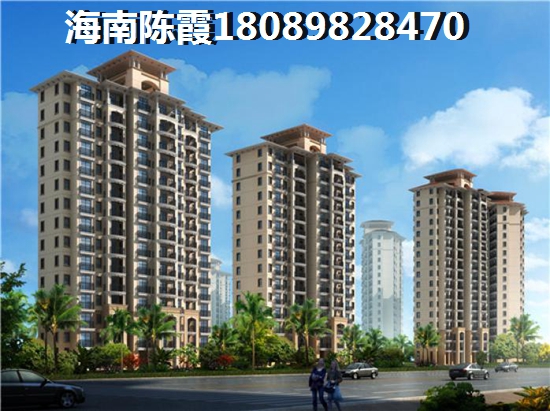 文昌鸿嘉金龙湾生纸前景如何？