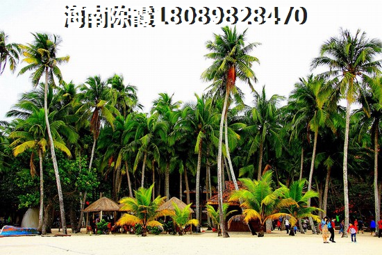 海南文昌市房子适合touzi吗？
