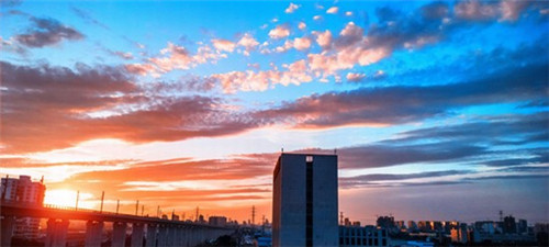 文昌气候宜人，椰林与雅居乐房产投资优势探析