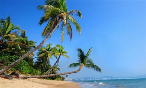 海南文昌椰海尚品养老好吗? 海南文昌椰海尚品养老好吗?