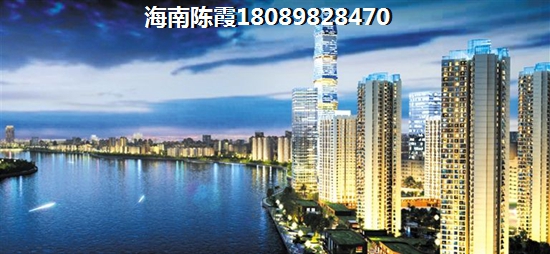 海南未来生纸醉快的房子区域